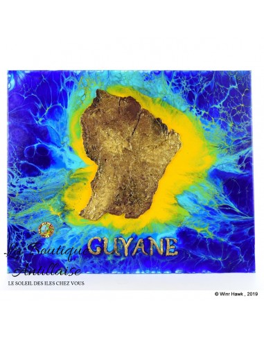 "LA GUYANE BLEU D'OUTREMER" - WINRHAWK - TABLEAU DE GUYANE des créatures d'habitude